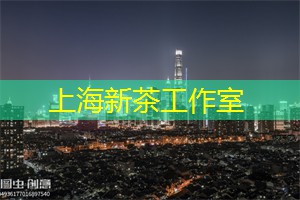 <strong>上海娱乐网</strong>：上海多元文化的娱乐影响